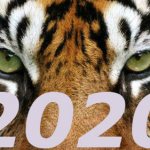 2020 год крысы для тигра гороскоп
