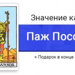 Баннер для статьи о значениях карты Таро Пажа Посохов (Жезлов)