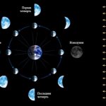 Четыре фазы луны
