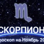 Скорпион: Гороскоп на Ноябрь 2020