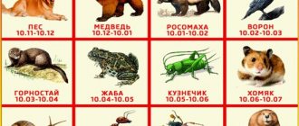 славянский звериный гороскоп